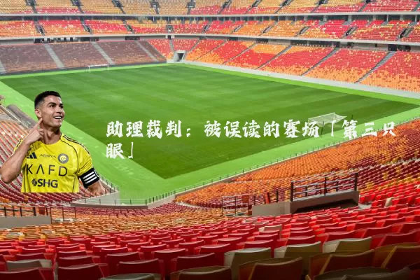 助理裁判：被误读的赛场「第三只眼」